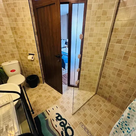 Apartment Desi House 302 A Large Cozi *