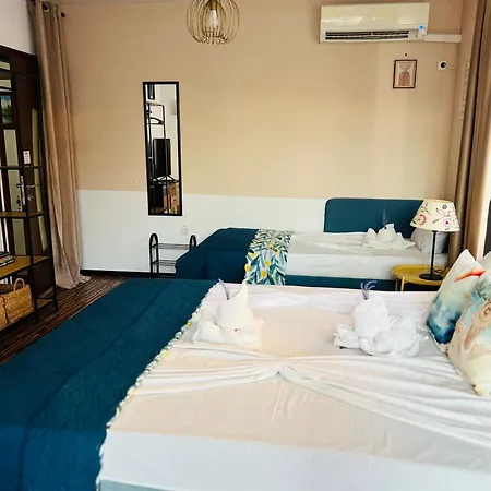 Апартаменты Desi House 302 A Large Cozi Несебр